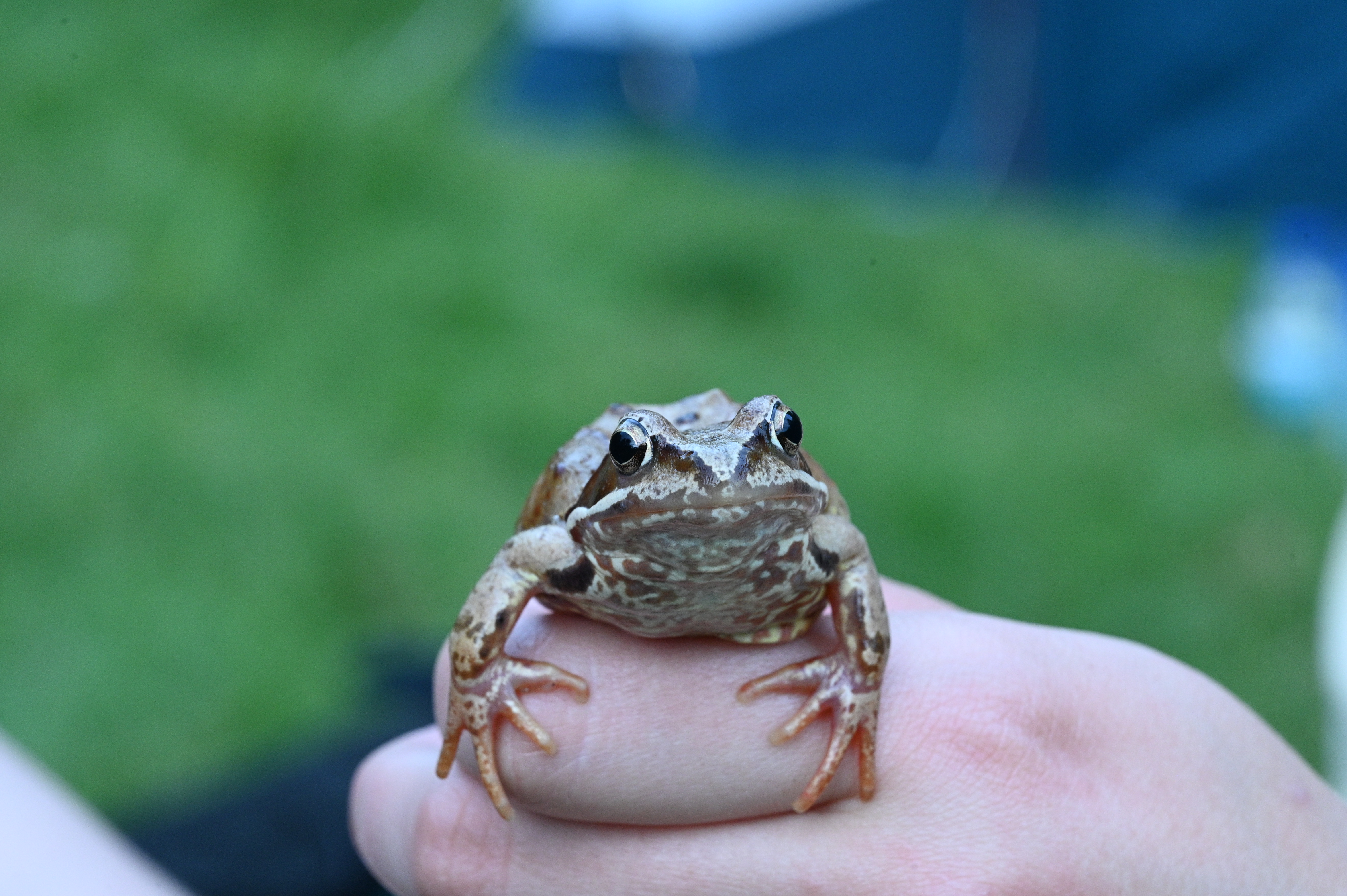 2025/07/09-14 - trip/DSC_0063.JPG